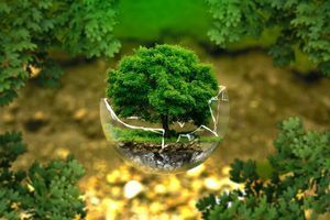 ЕКО-ФРЕНДЛІ (eco-friendly) - що це? фото