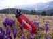 Фляга Primus TraiLBottLe Tritan 1000 мл Красный (740125) 740125 фото 4