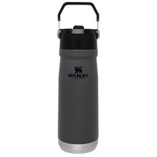 Термопляшка Go flip straw Charcoal 650 мл 10-09697-008 фото